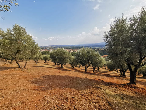 San Fillippo