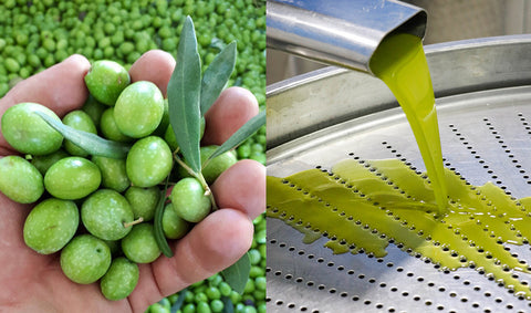 Sustainably Farmed